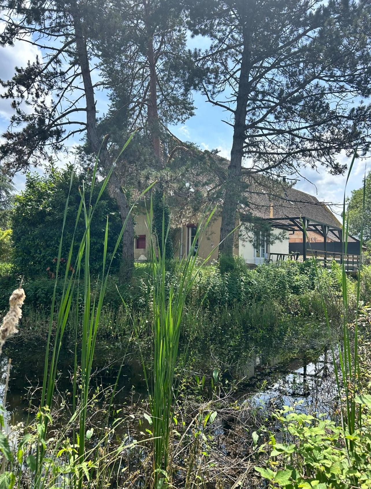 Le Gite Du Chateau Mouton Chatenoy-le-Royal Luaran gambar
